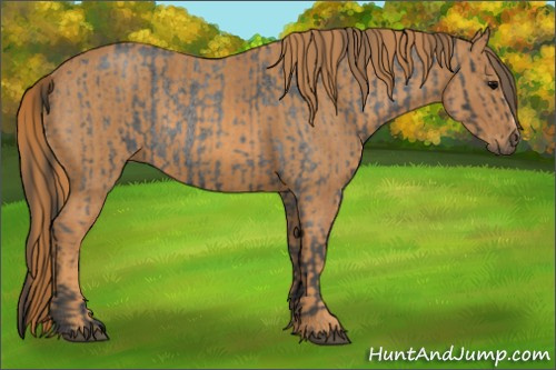 Horse Color: Brown Roan Rabicano  Brindle