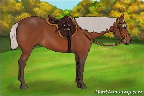 Horse Color:Silver Bay