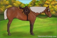 Horse Color:Silver Bay 