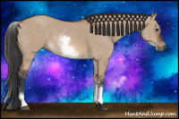 Horse Color:White Spotted Bay Dun 