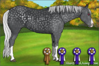 Horse Color:Silver Black Chinchilla Splash