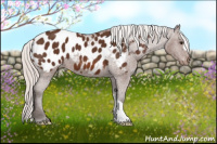 Horse Color:Silver Brown Blanket 