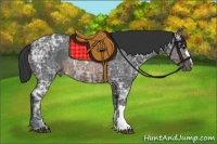 Horse Color:Brown Ice Rabicano 