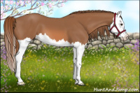 Horse Color:Chestnut Splash 