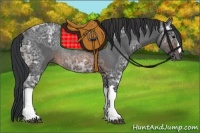 Horse Color:Brown Ice Rabicano 