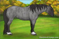 Horse Color:Smoky Blue Roan