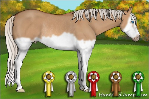 Horse Color: Silver Bay Dun Splash Frame Rabicano 