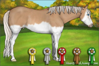 Horse Color:Silver Bay Dun Splash Frame Rabicano 