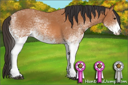Horse Color: White Spotted Bay 