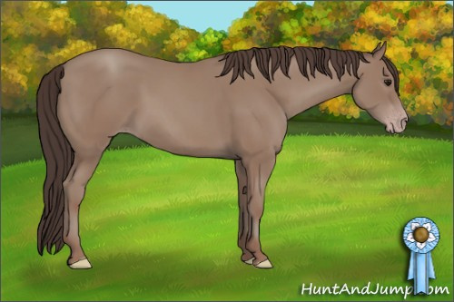 Horse Color: Classic Champagne 