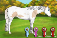 Horse Color:Silver Classic Champagne Dun Splash Tobiano