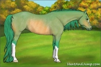 Horse Color:Watercolor Bay Rabicano 