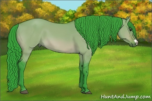 Horse Color: Watercolor Bay Dun 