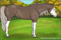 Horse Color:Silver Black Splash 