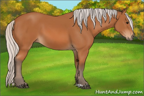 Horse Color: Silver Bay 