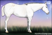 Horse Color:Gray Silver Amber Cream Champagne Roan Dun Splash Tobiano Frame Varnish Rabicano 