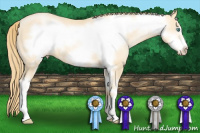 Horse Color:Smoky Black Pearl Sabino Frame 