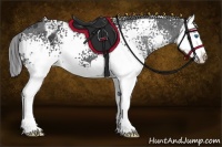 Horse Color:White Spotted Black Splash Varnish 