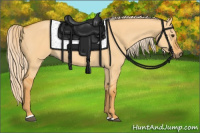 Horse Color:Palomino Dun Sabino 