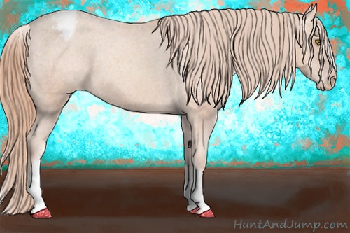 Horse Color: White Spotted Gold Champagne Snowcap 