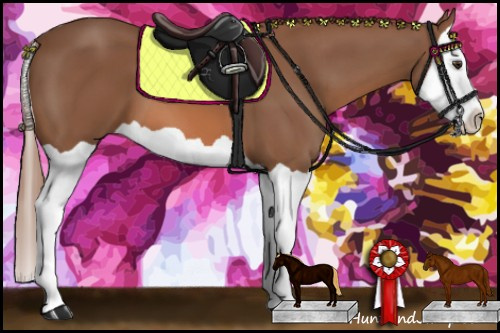Horse Color: Liver Chestnut Splash 