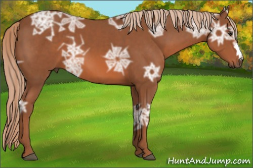 Horse Color: Liver Chestnut Ice 