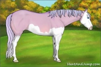 Horse Color:Watercolor Silver Bay Dun Splash 