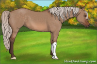 Horse Color:Silver Bay Dun