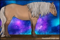 Horse Color:Silver Bay Dun 
