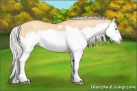 Horse Color:Silver Amber Champagne Dun Splash Frame 