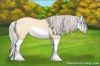 Horse Color:Silver Amber Champagne Dun Splash 