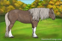 Horse Color:Silver Black 