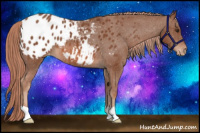 Horse Color:Liver Chestnut Blanket 