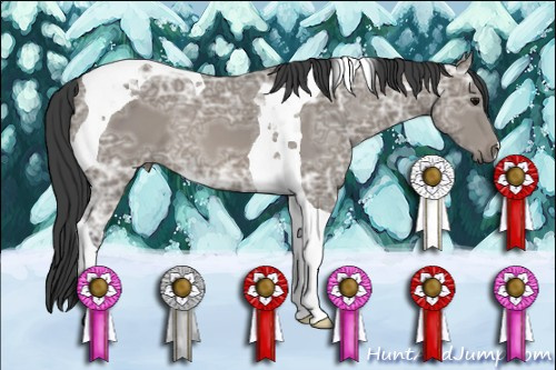 Horse Color: Unknown 