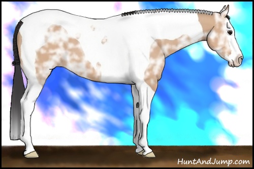 Horse Color:Bay Ice Dun Splash Tobiano