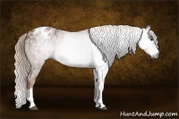 Horse Color:Gray Chestnut Splash Blanket 