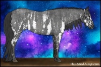 Horse Color:White Spotted Blue Roan Rabicano  Brindle