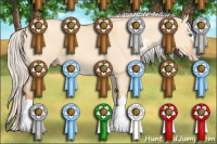 Horse Color:Silver Amber Champagne Dun Sabino Splash 