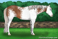 Horse Color:White Spotted Silver Bay Splash 