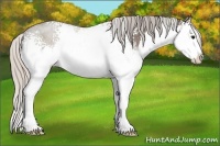 Horse Color:White Spotted Silver Blue Roan Splash