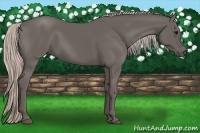 Horse Color:Silver Black 