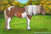 Horse Color:Liver Chestnut Tobiano 