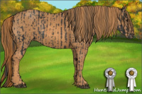 Horse Color:Brown Rabicano  Brindle