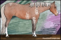 Horse Color:White Spotted Silver Bay Varnish 