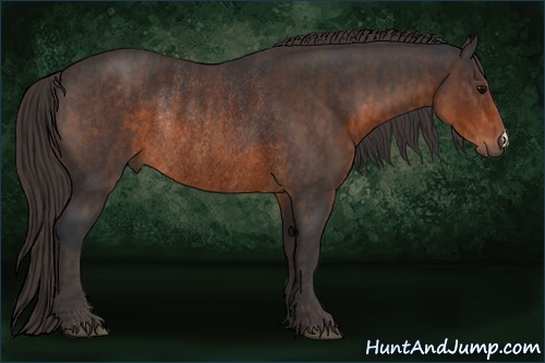 Horse Color: Brown Rabicano  Brindle