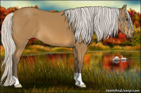 Horse Color:Silver Buckskin 