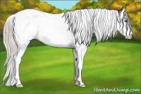 Horse Color:Silver Bay Splash Tobiano 