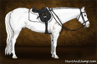 Horse Color:Silver Smoky Grullo Sabino