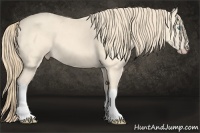 Horse Color:Perlino 