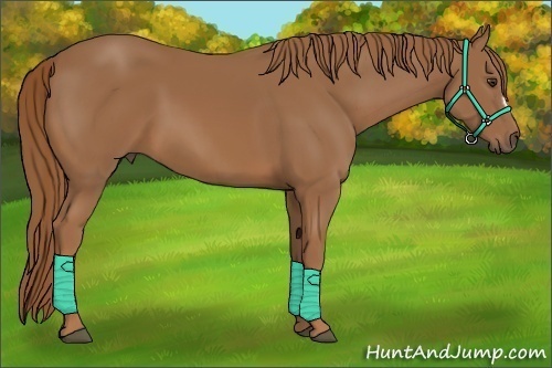 Horse Color:Chestnut Frame